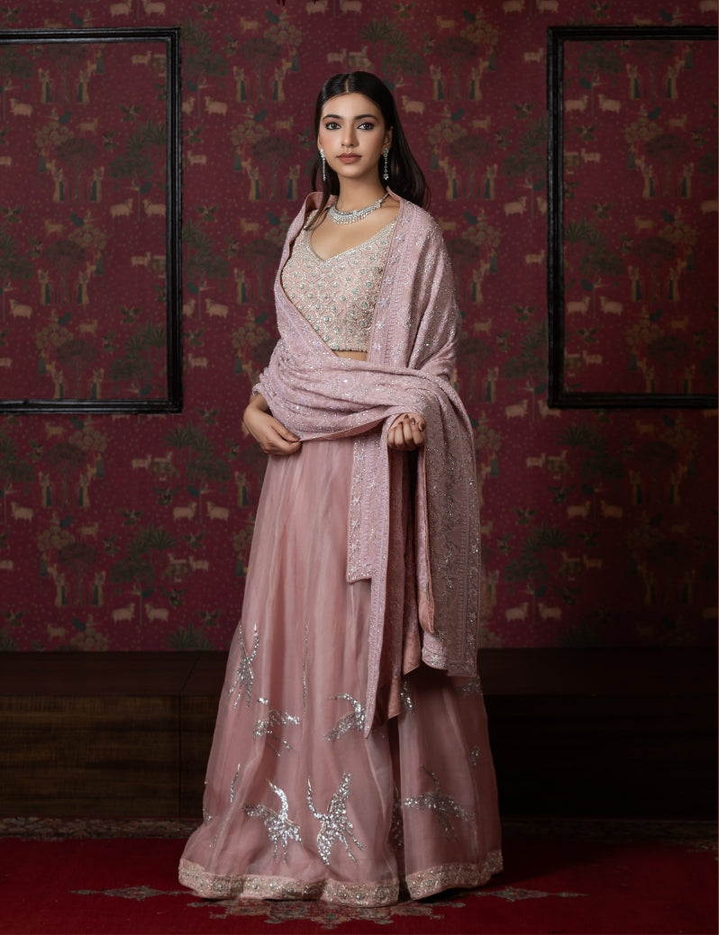 THE DUSTY PINK LEHENGA SET WITH HAND EMBROIDERY OF ZARDOZI SEQUENCE