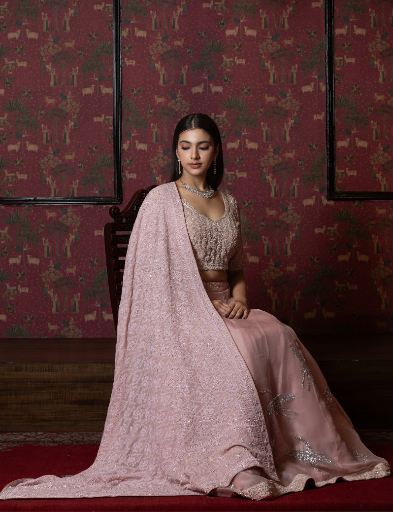 THE DUSTY PINK LEHENGA SET WITH HAND EMBROIDERY OF ZARDOZI SEQUENCE