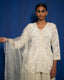 FAWN SHARARA SET WITH HAND EMBROIDERY OF ZARDOZI WITH CUTDANA THREAD